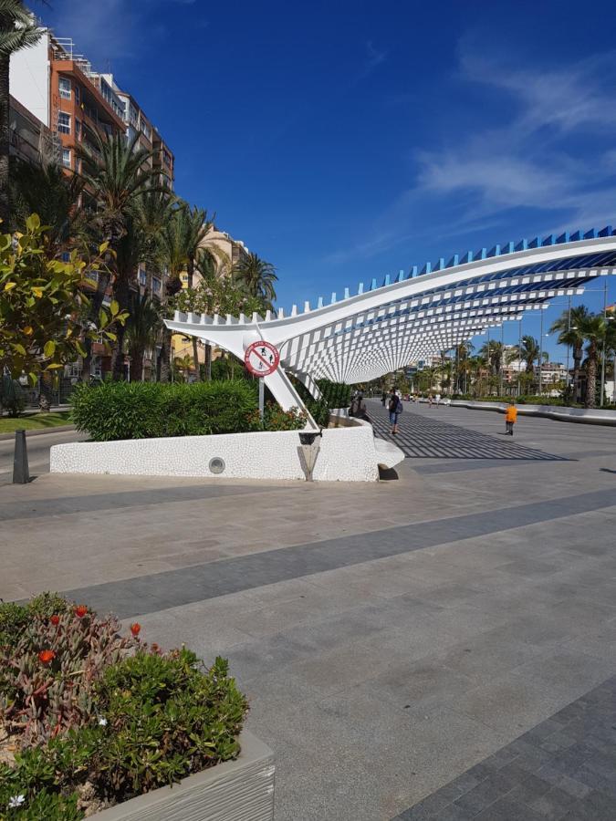 Apartament Carmen Torrevieja Exteriér fotografie